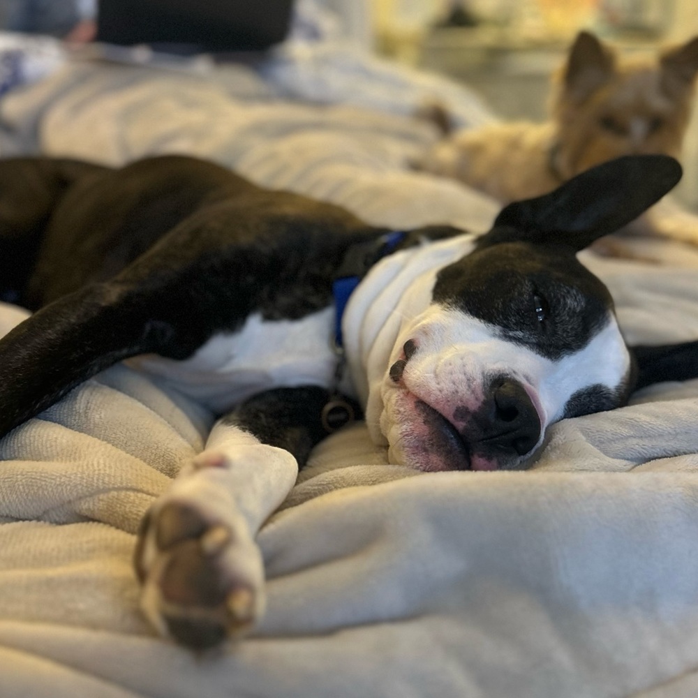 Meet your Posher, Reid